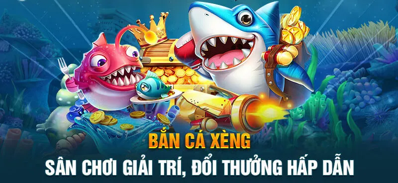 ban-ca-xeng-3